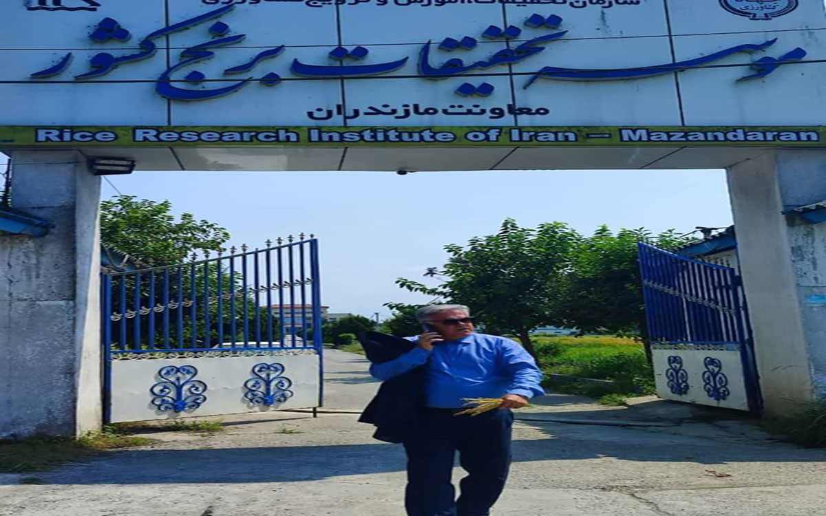 تصاویر مقالات